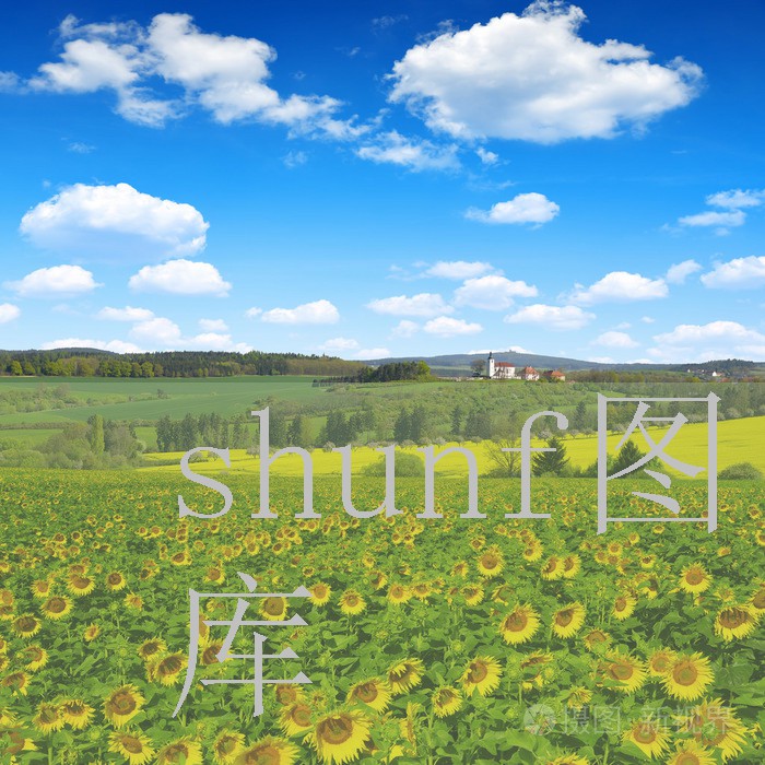 网红大川打架斗殴视频