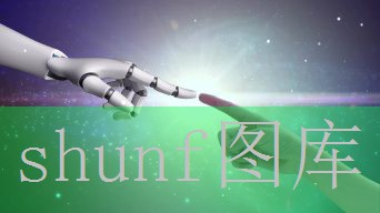 软包泰山宏冬多少钱一包?