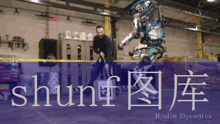 伊人阑珊纸巾多少钱一包?