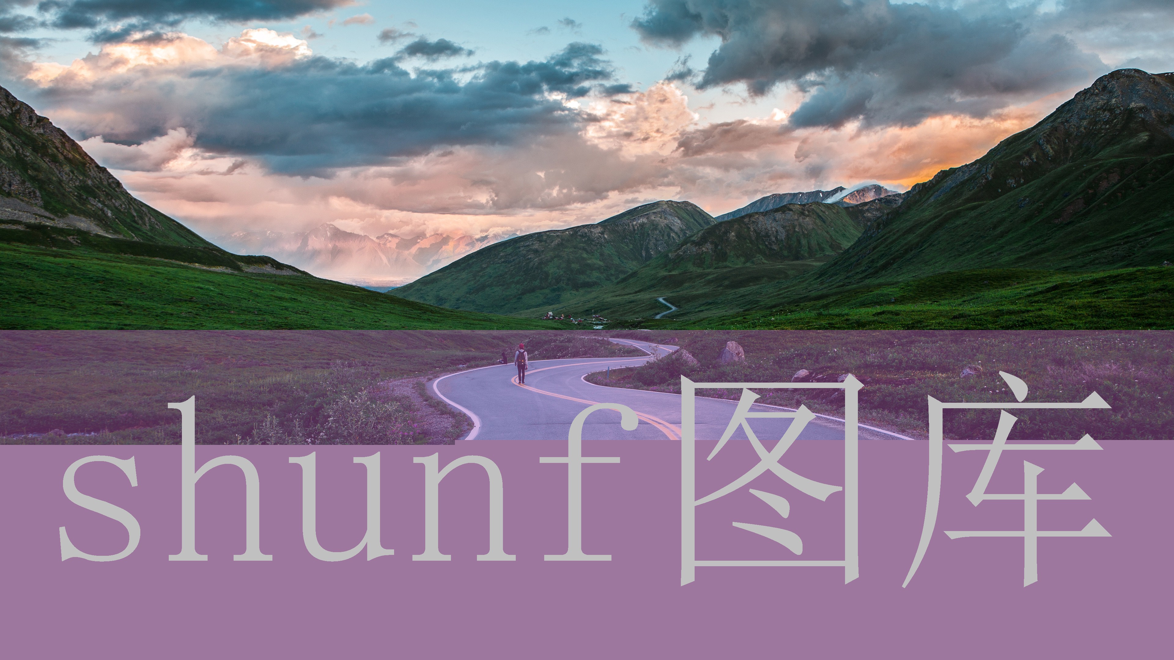 李丽珍在线观看