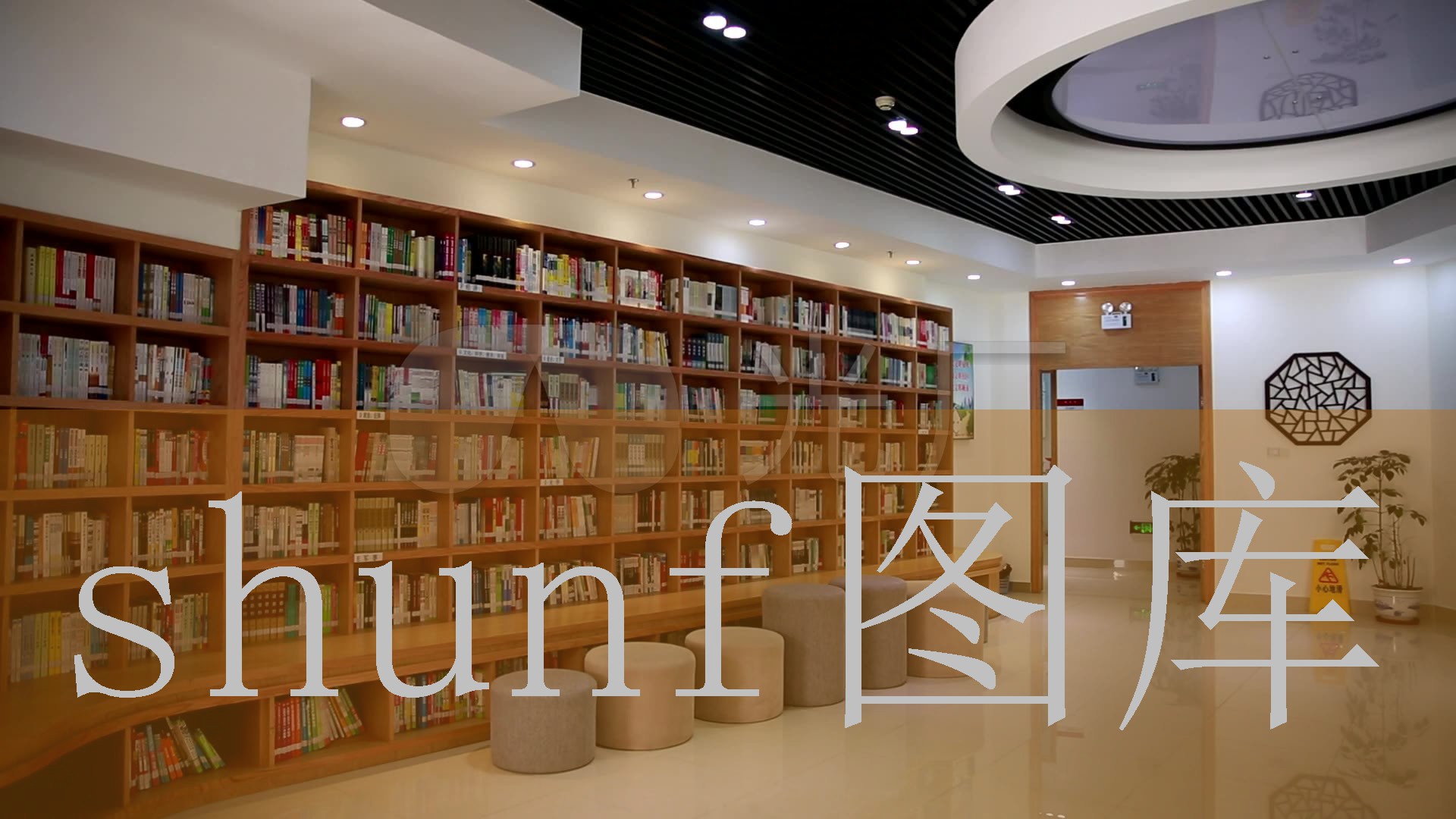 蓝色蒙古高原广场舞