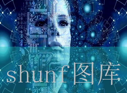 黄金龙硬壳多少钱一包?