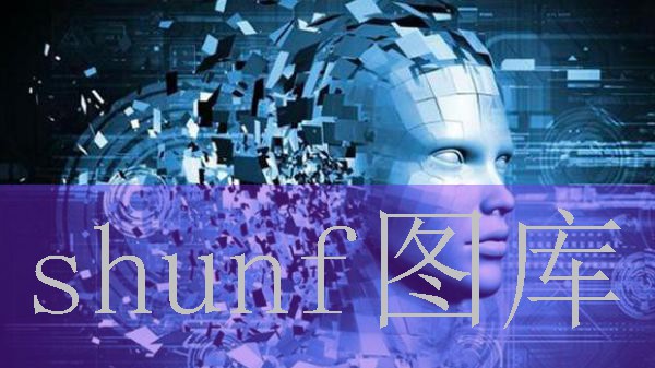 济南新年烟花多少钱一包?