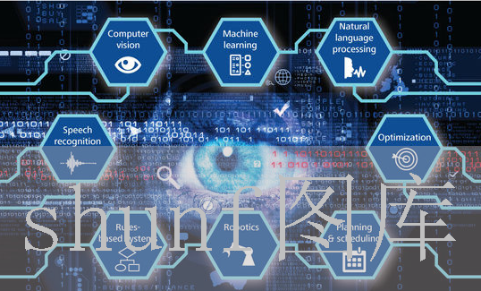 姐姐的朋友中文版