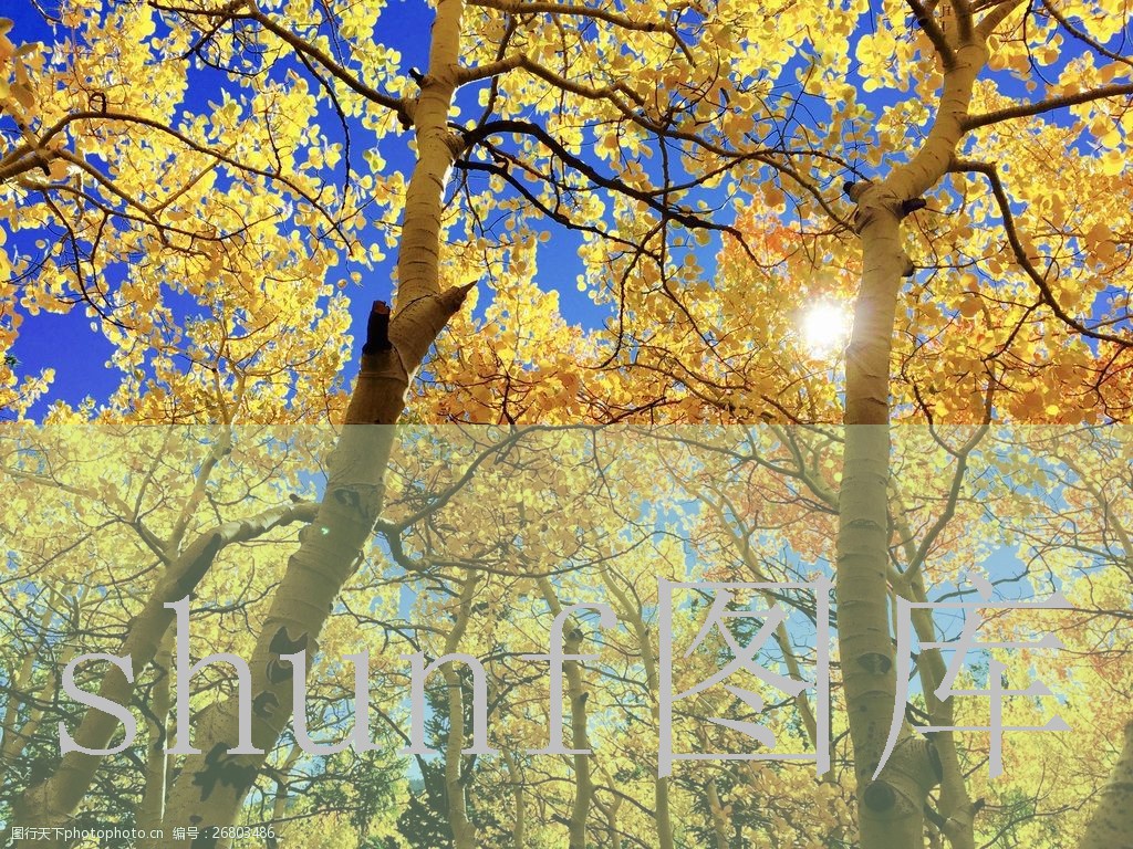 黑白配一包多少钱?