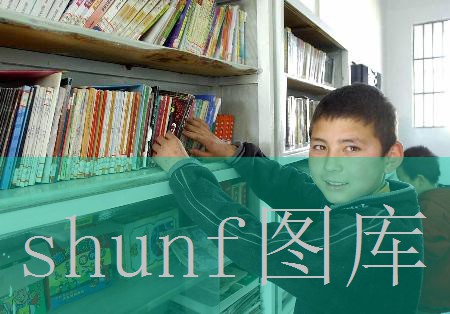 梦幻之星 携带版2