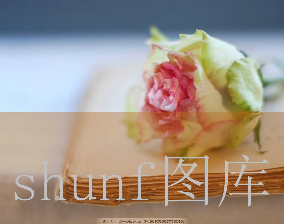 伯尔汀干红多少钱一包?