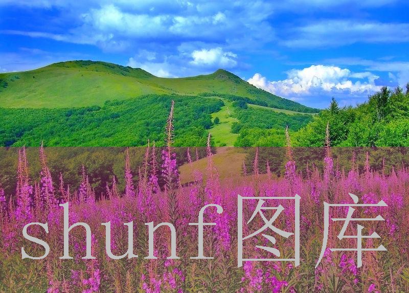 农夫山泉和娃哈哈是什么关系