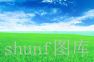 重型冰雪猛犸象