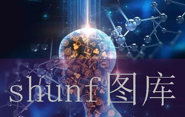 雅丽面皮多少钱一包?