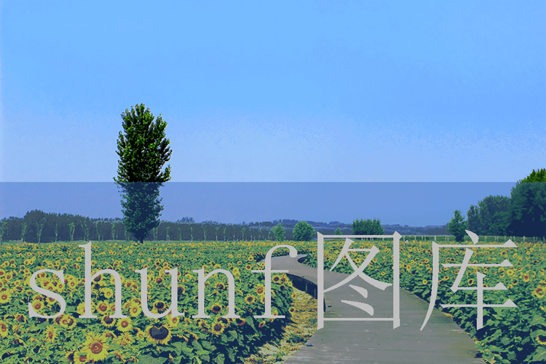 木浆海绵多少钱一包?