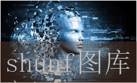 丽都印象多少钱一包?