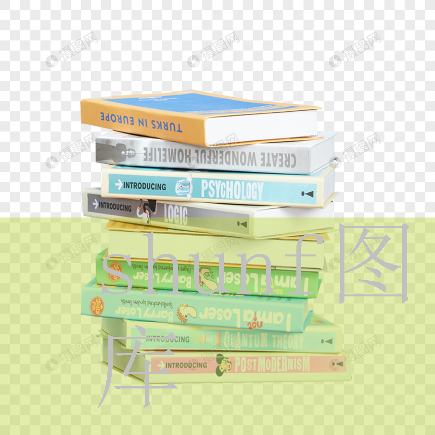 河南恩成集团董事长小武个人简历