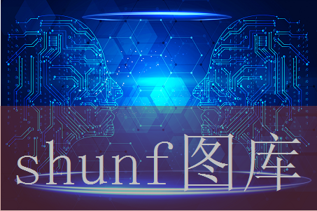 metcn中国人体专辑