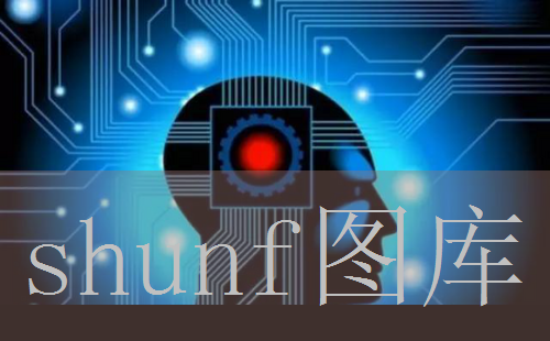 一包纸应该多少钱买到?