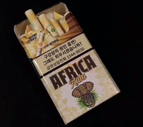 动漫成年美女黄漫视频