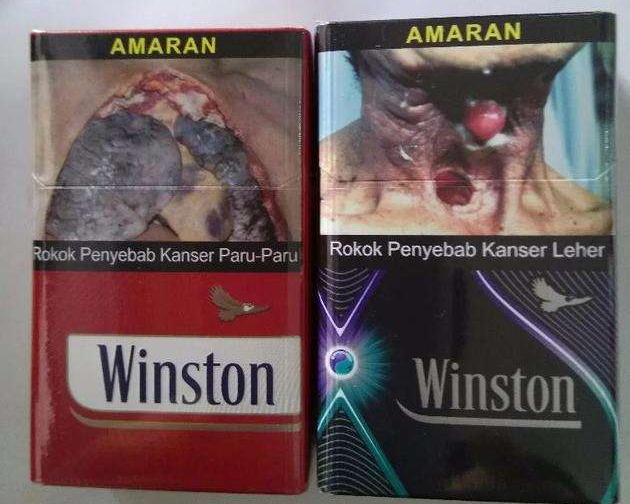 叶倩彤小说下载